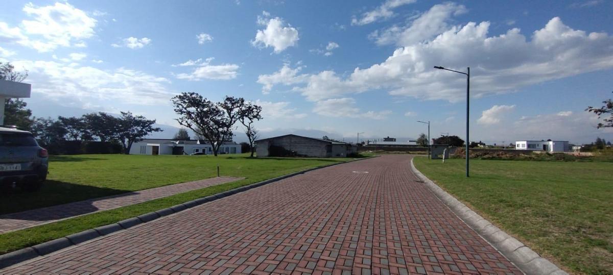 Venta Terreno Puembo Urbanizacion. Provincia de Pichincha — imagen 9