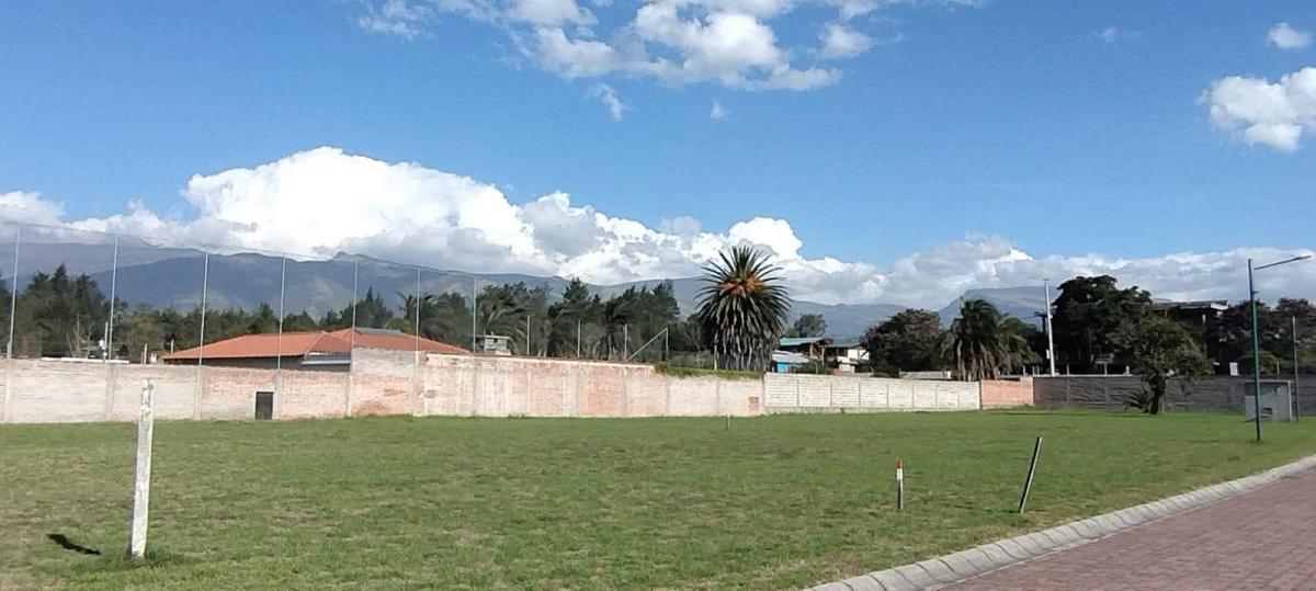 Venta Terreno Puembo Urbanizacion. Provincia de Pichincha — imagen 8