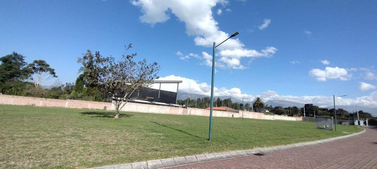 Venta Terreno Puembo Urbanizacion. Provincia de Pichincha — imagen 6