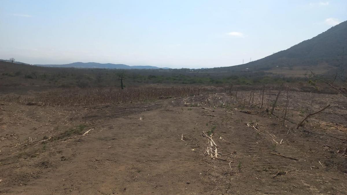 Terreno en Venta, Los Bajos de Montecristi, Manabí — imagen 8