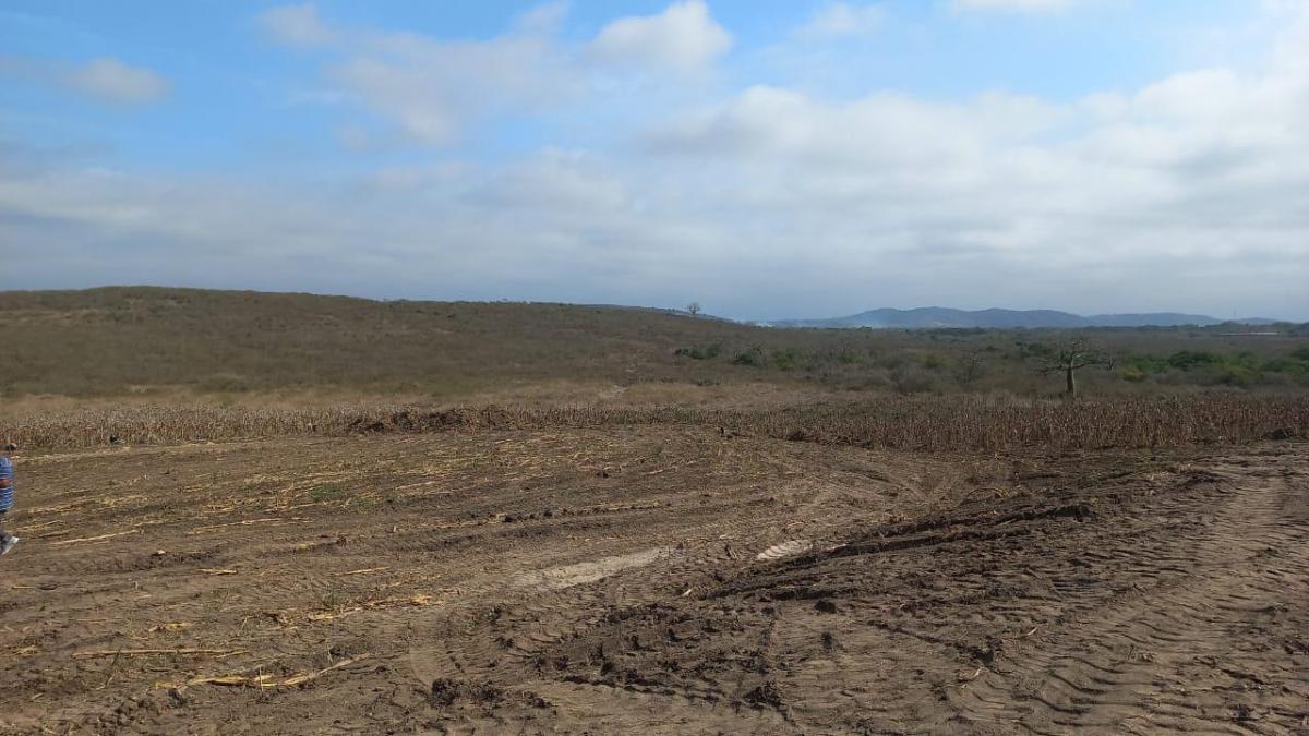 Terreno en Venta, Los Bajos de Montecristi, Manabí — imagen 7