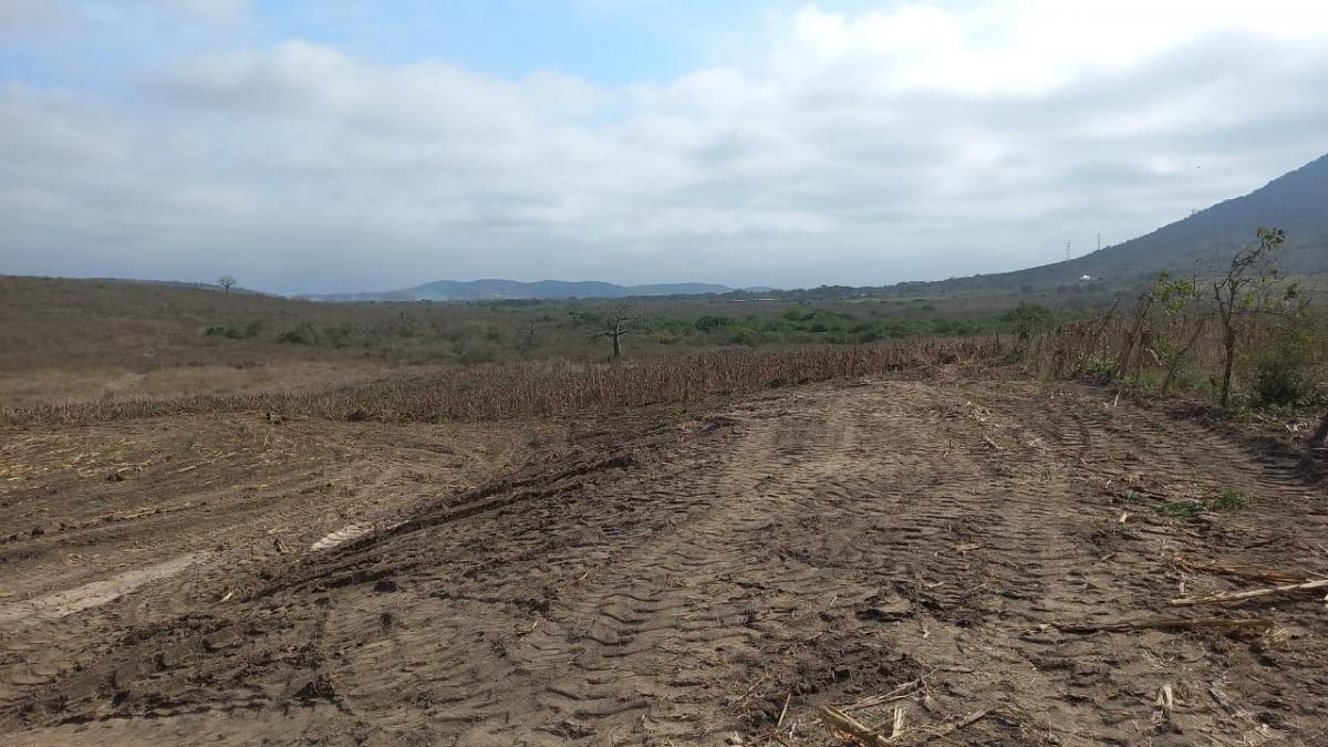 Terreno en Venta, Los Bajos de Montecristi, Manabí — imagen 2