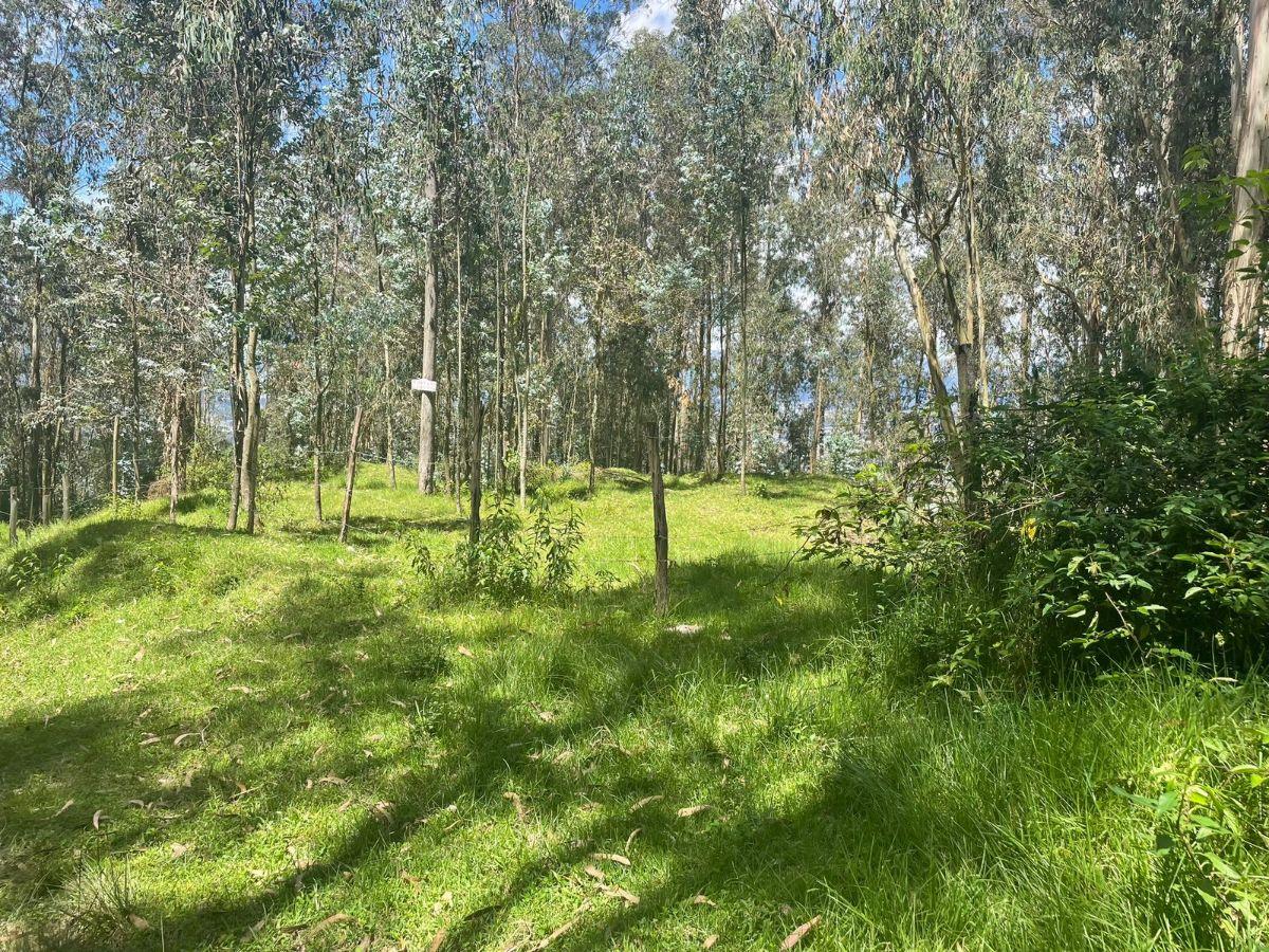 Se Vende Amplio Terreno en El Valle de Los Chillos Sector Puente 3 — imagen 6