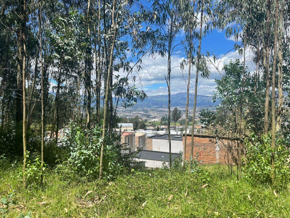 ¡Oportunidad Única de Inversión! Se Vende Amplio Terreno en El Valle de Los Chillos Sector Puente 3 — imagen 5