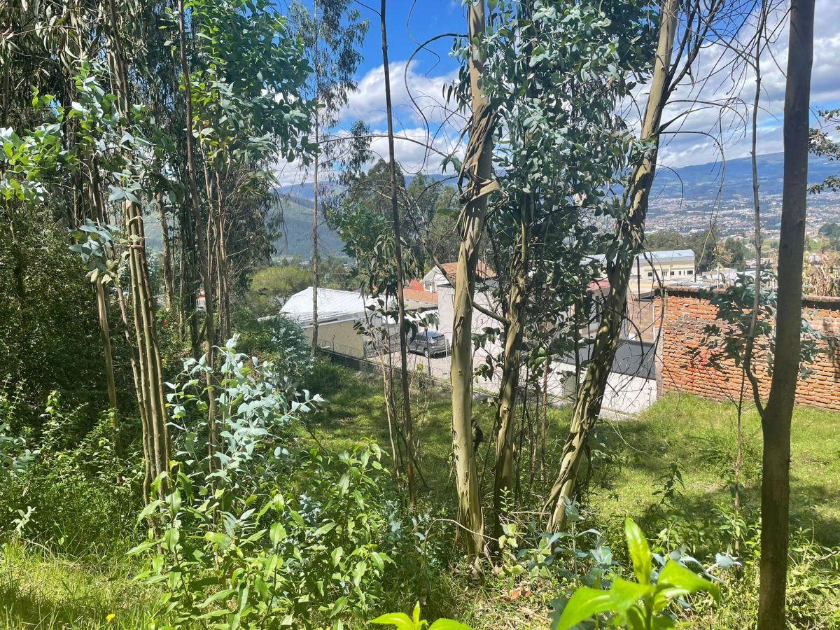 ¡Oportunidad Única de Inversión! Se Vende Amplio Terreno en El Valle de Los Chillos Sector Puente 3 — imagen 4