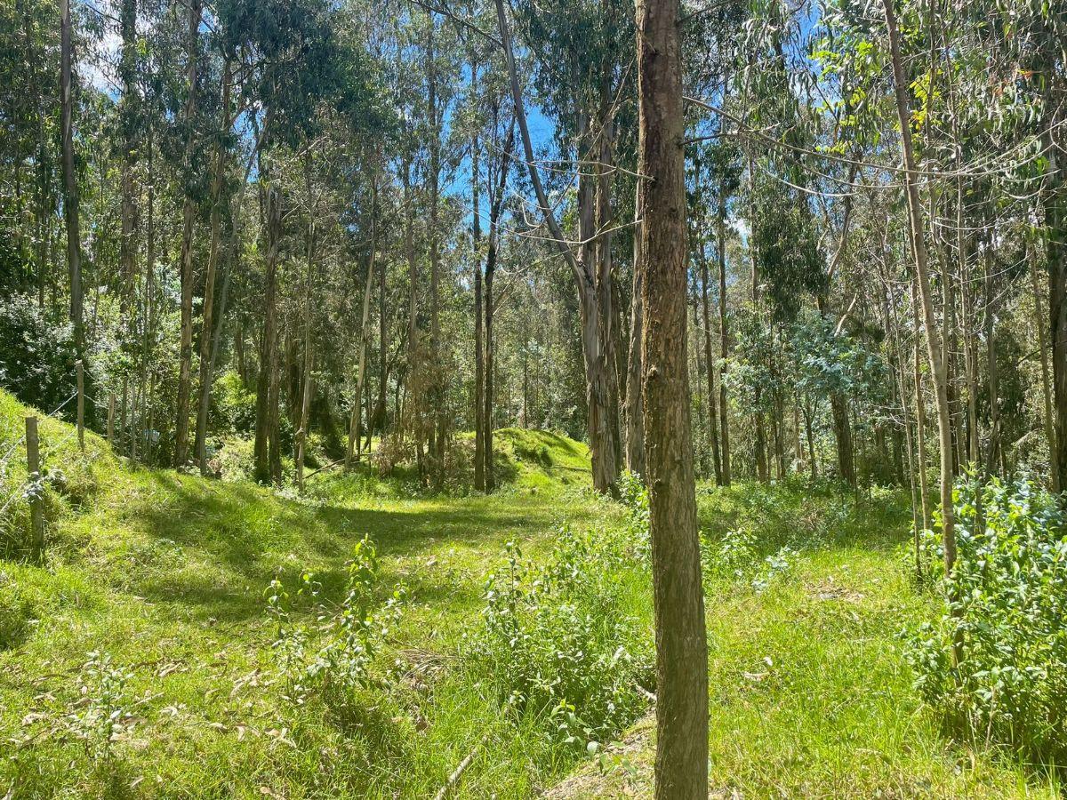 ¡Oportunidad Única de Inversión! Se Vende Amplio Terreno en El Valle de Los Chillos Sector Puente 3 — imagen 3