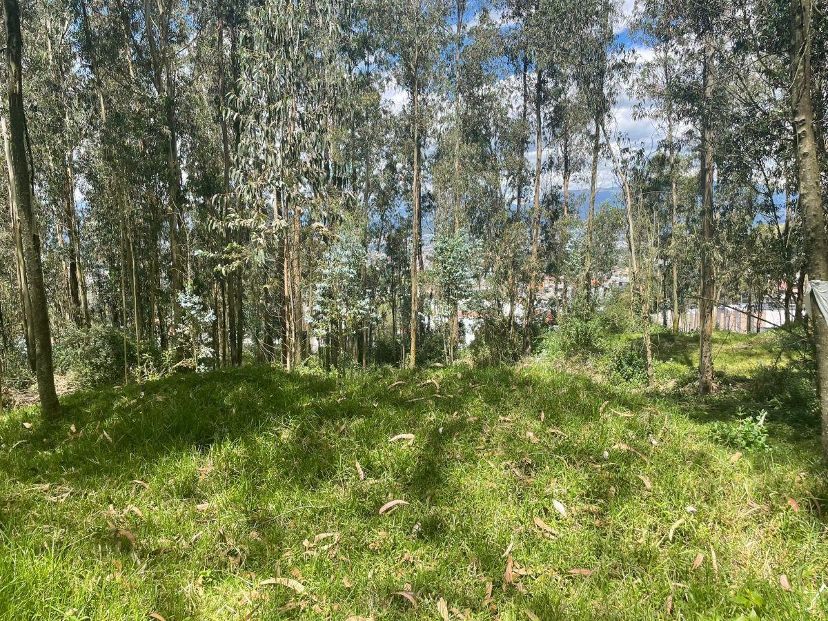 ¡Oportunidad Única de Inversión! Se Vende Amplio Terreno en El Valle de Los Chillos Sector Puente 3 — imagen 2
