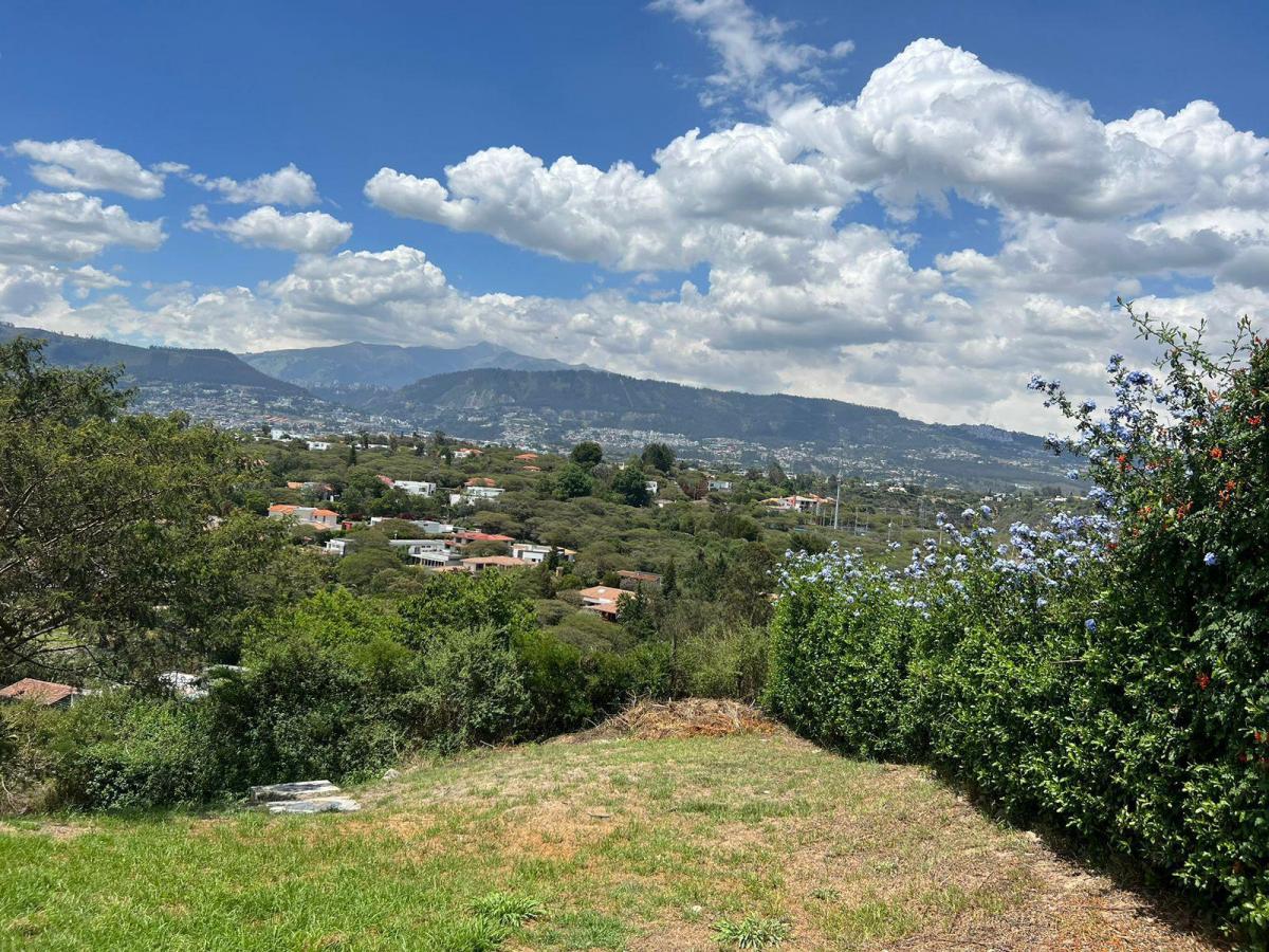 Mv - Sector La Viña Alta, en Venta Terreno 960 m², en Urbanización Privada — imagen 2