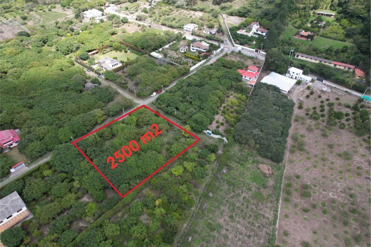 Terreno en Venta en Guayllabamba — imagen 5