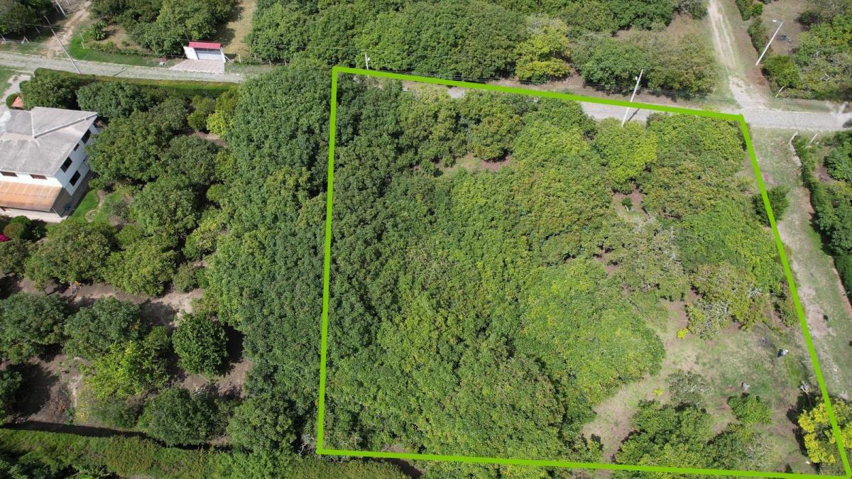 Terreno en Venta en Guayllabamba — imagen 4