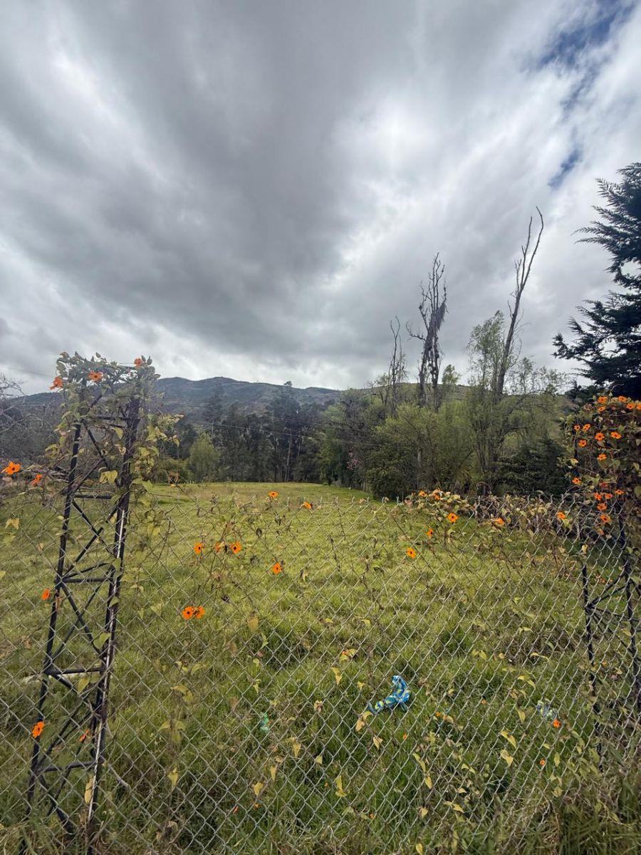 Terreno de Oportunidad en Venta – El Cabo, Paute, Azuay — imagen 10