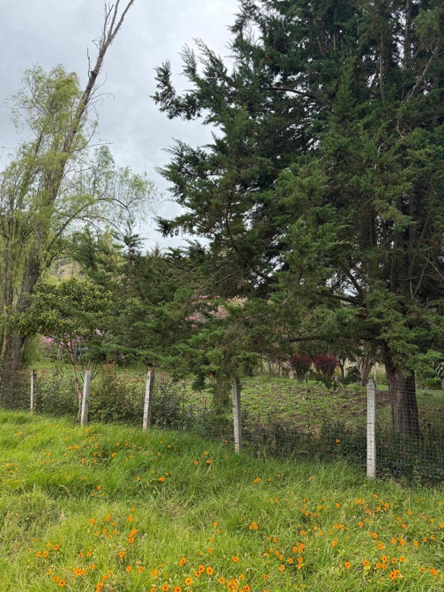 Terreno de Oportunidad en Venta – El Cabo, Paute, Azuay — imagen 2