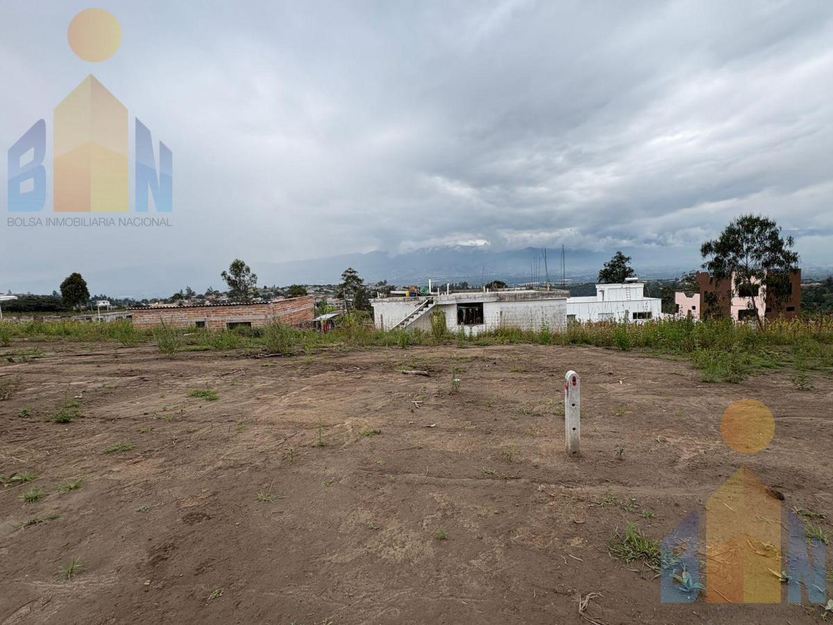 Vendo Terreno 50 % 100% Cos Proyecto Inmobiliario 6265 m² Llano Grande San Juan Loma Alto — imagen 6