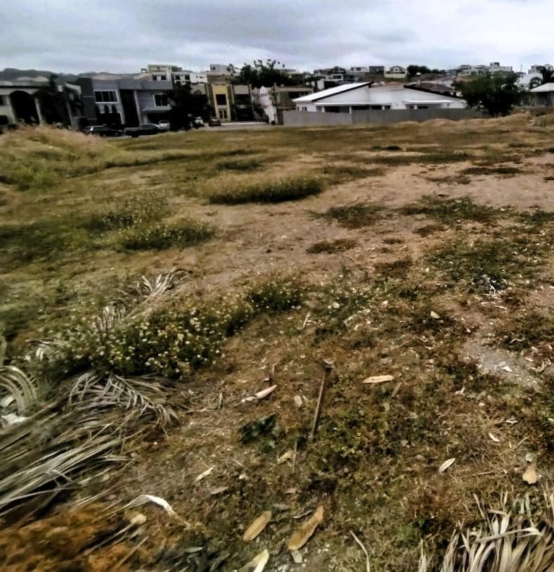 Terreno en Venta, 605 m², Plano, Condado de Vicolinci, La Aurora, Guayas — imagen 6