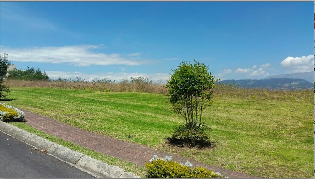 Puembo Terreno de Venta en Urb. Arrayanes. Vista Espectacular — imagen 8