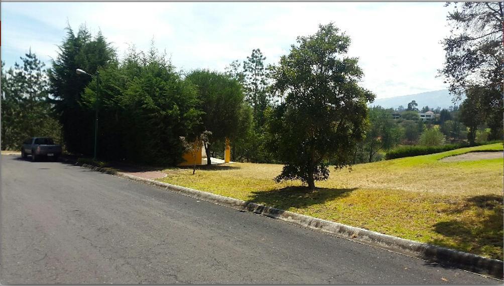 Puembo Terreno de Venta en Urb. Arrayanes. Vista Espectacular — imagen 6