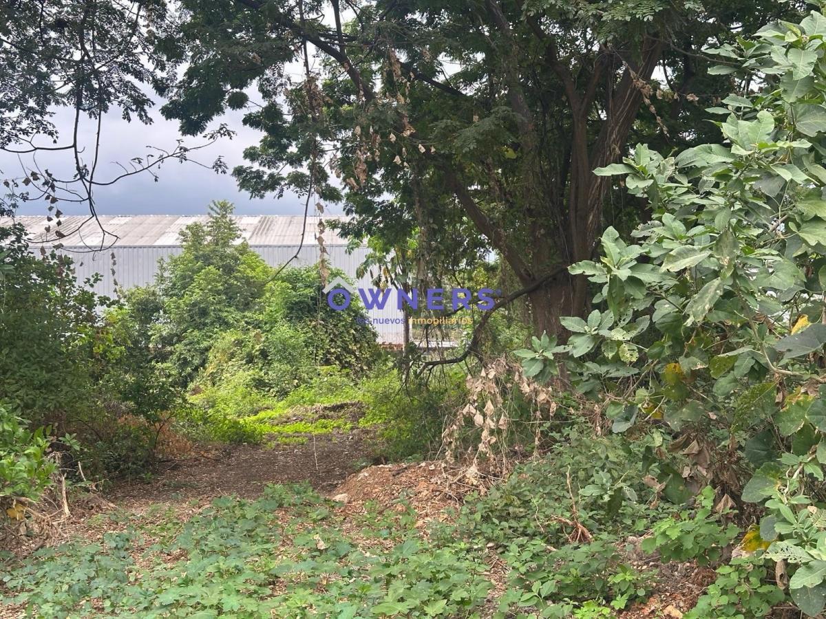 Se Vende Lote de Terreno 60.000 m² Km 9,5 Via a La Costa a Pie de La Via (Jlr), Guayas — imagen 3