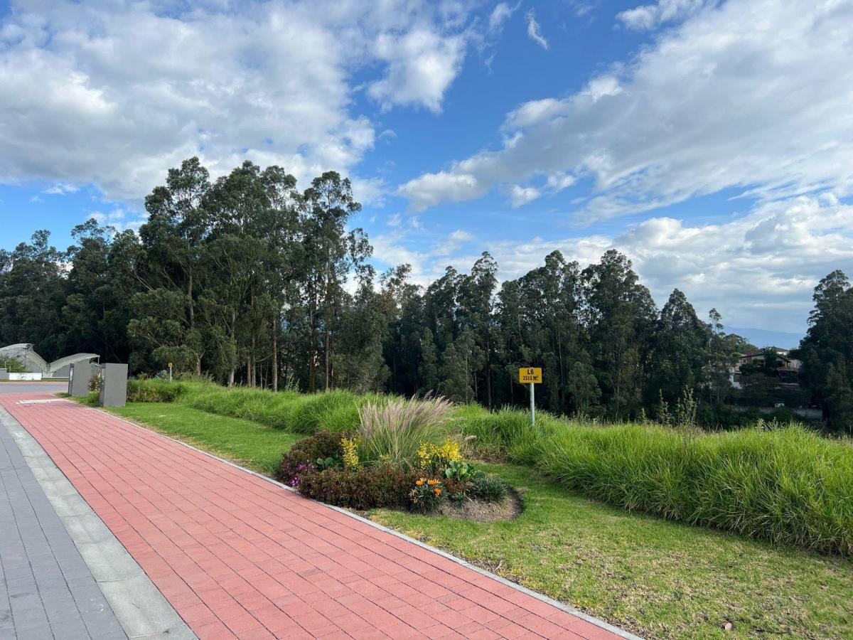 Mv - en Pifo, en Venta Terreno Ideal Para Proyecto Unifamiliar de 2500 m² — imagen 6