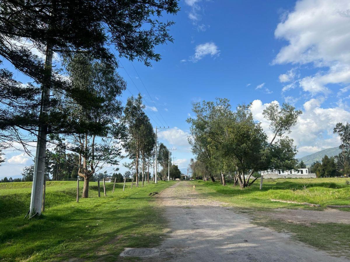 Mv - en Pifo, en Venta Terreno Ideal Para Proyecto Unifamiliar de 2500 m² — imagen 3