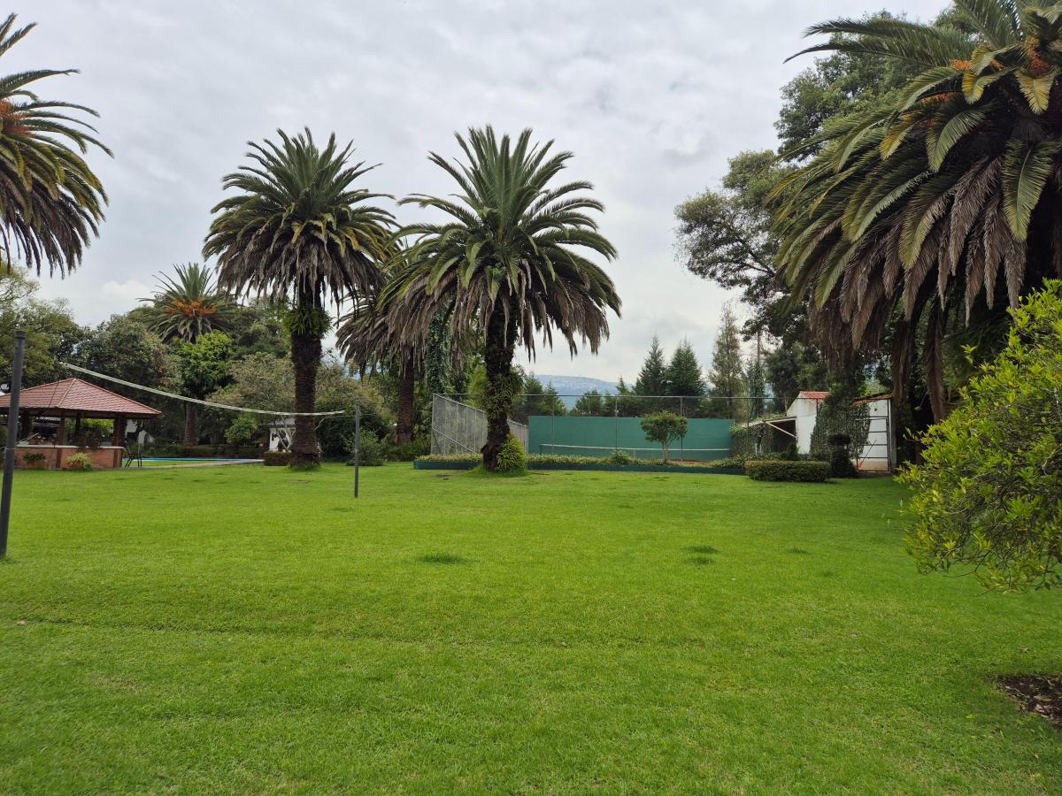 Espectacular Propiedad de 20.590 m² - con Casa de Lujo - La Armenia — imagen 8