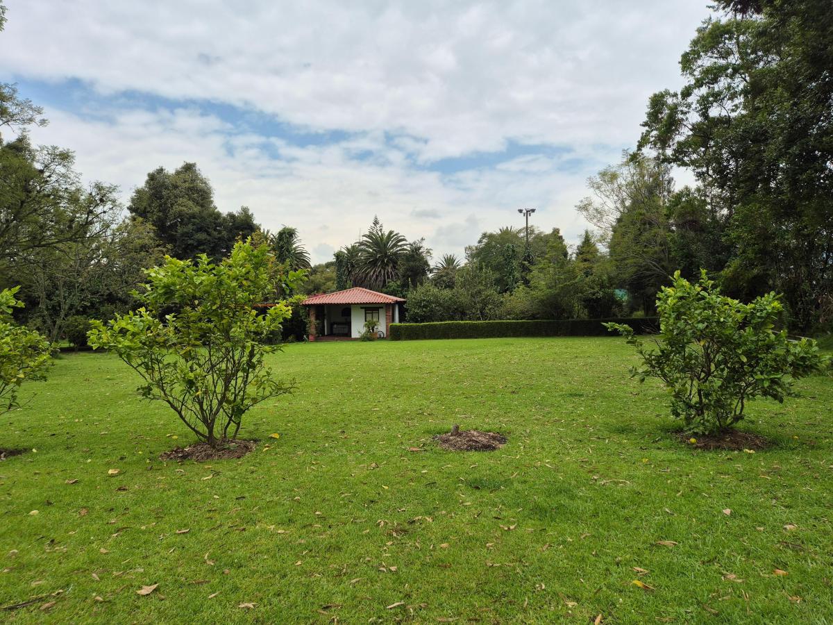 Espectacular Propiedad de 20.590 m² - con Casa de Lujo - La Armenia — imagen 7