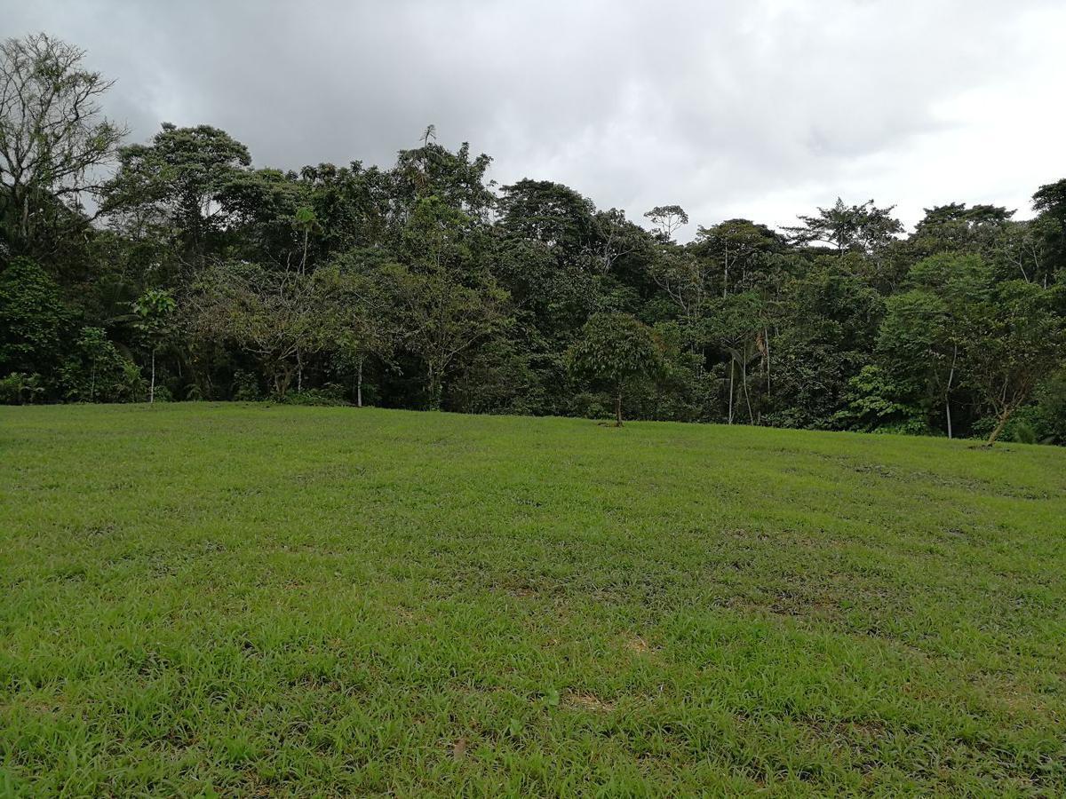 Venta Lotes de Terreno Desde 5000 m² - Pedro Vicente Maldonado — imagen 10