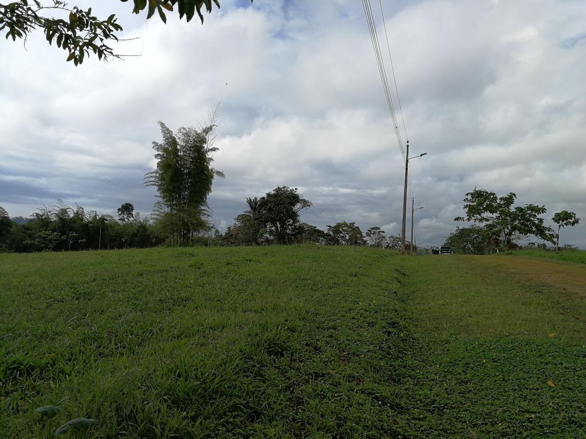 Venta Lotes de Terreno Desde 5000 m² - Pedro Vicente Maldonado — imagen 9
