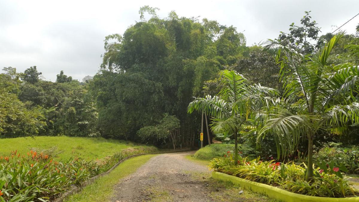 Venta Lotes de Terreno Desde 5000 m² - Pedro Vicente Maldonado — imagen 8