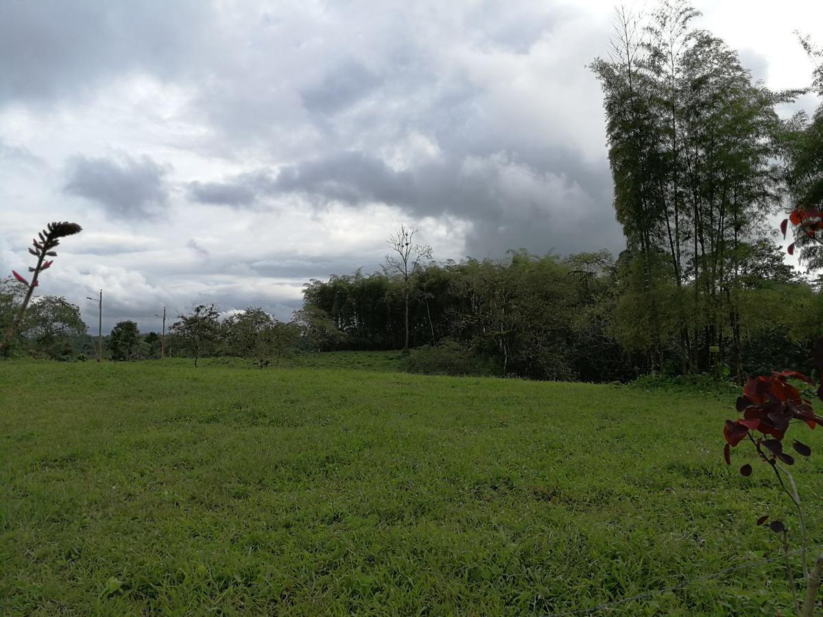 Venta Lotes de Terreno Desde 5000 m² - Pedro Vicente Maldonado — imagen 7