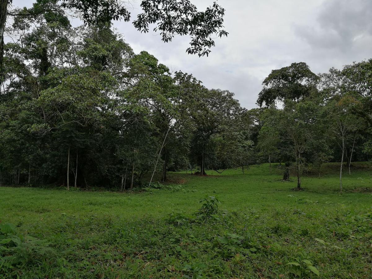 Venta Lotes de Terreno Desde 5000 m² - Pedro Vicente Maldonado — imagen 6