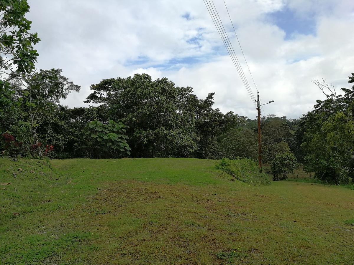 Venta Lotes de Terreno Desde 5000 m² - Pedro Vicente Maldonado — imagen 5