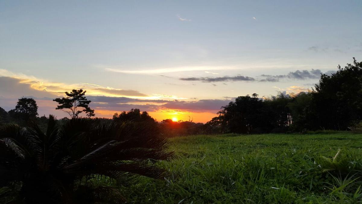 Venta Lotes de Terreno Desde 5000 m² - Pedro Vicente Maldonado — imagen 4
