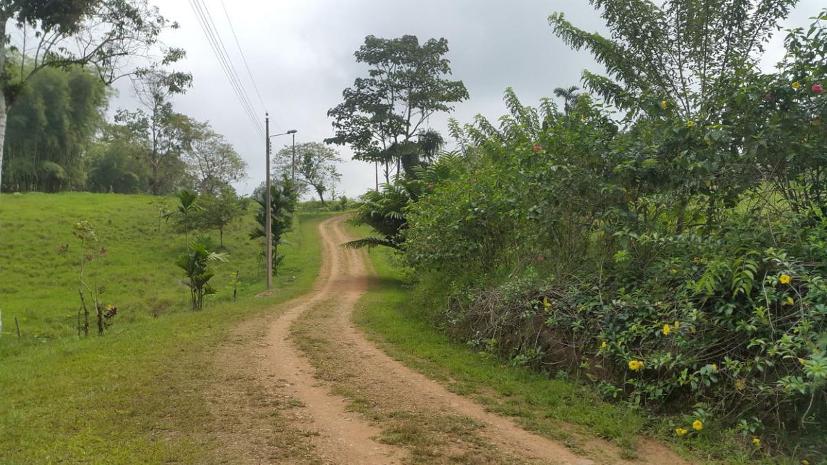 Venta Lotes de Terreno Desde 5000 m² - Pedro Vicente Maldonado — imagen 2
