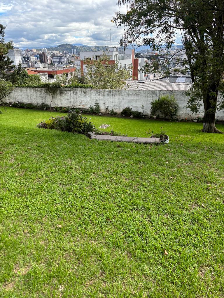 Vendo Terreno con Hermosa Vista en El Quito Tenis — imagen 7