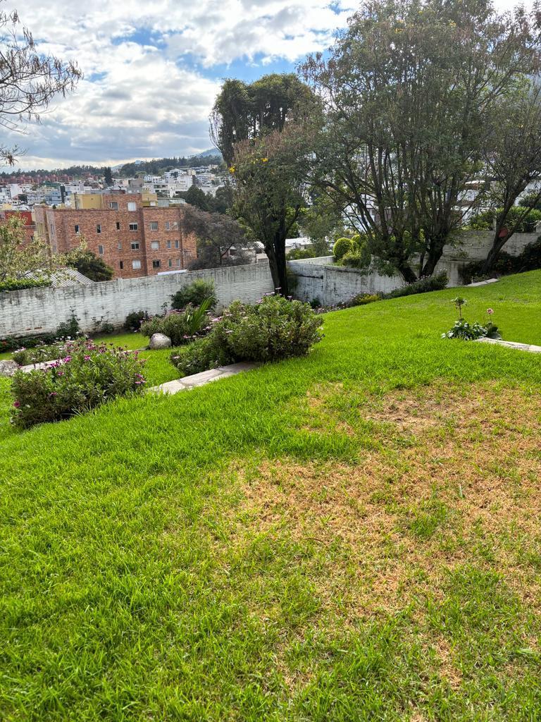 Vendo Terreno con Hermosa Vista en El Quito Tenis — imagen 6