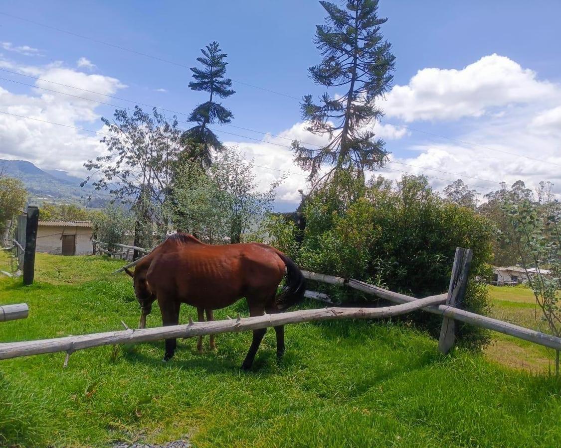 Lotes en Venta. Sector Norte Exclusivo en Ambato, Tungurahua — imagen 10