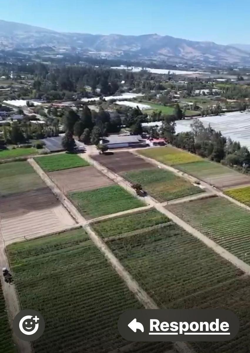 Venta Terreno 3 Ha en Checa – Ideal Para Desarrollo Inmobiliario o Inversión de Alta Plusvalía — imagen 6