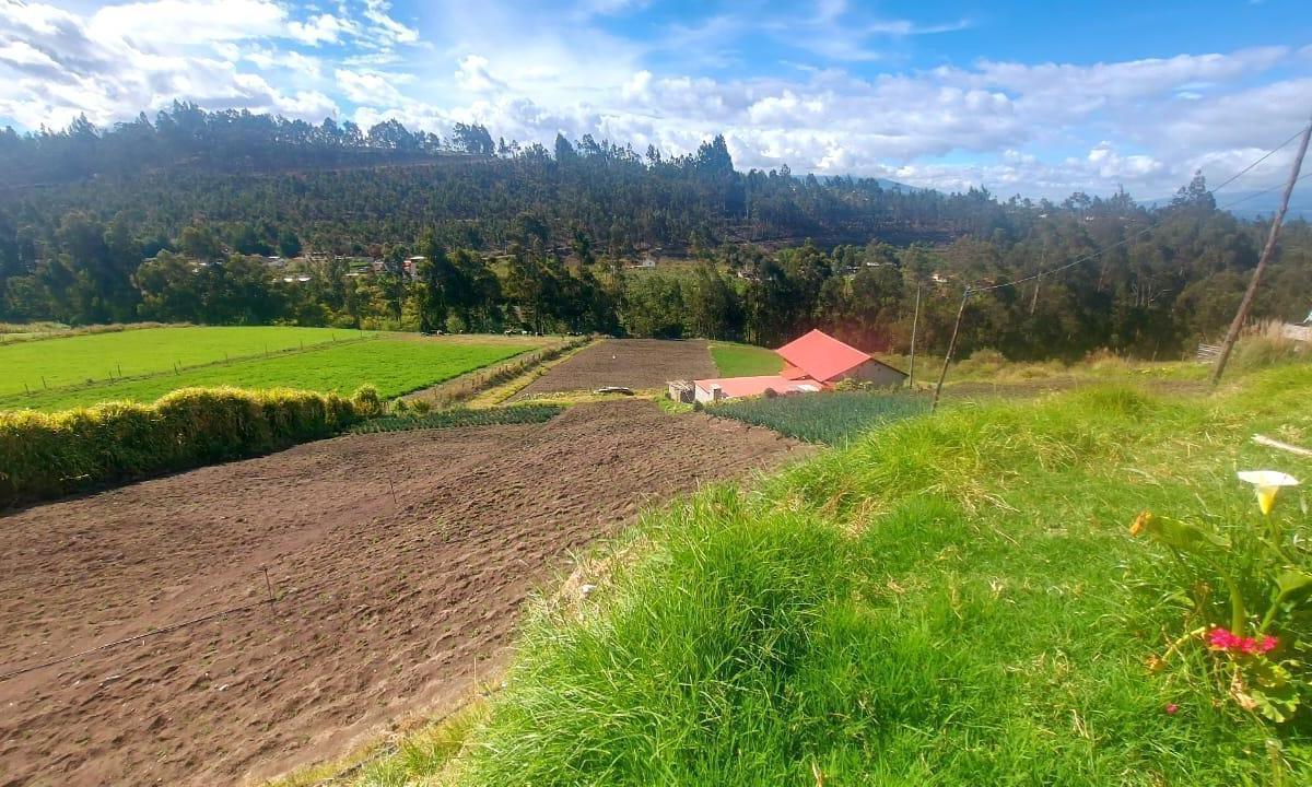 Terreno en Venta, Tungurahua — imagen 5