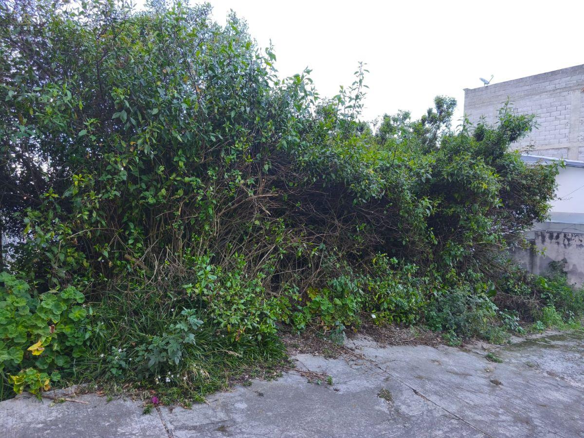 Vendo Terreno en Urbanización Privada Av Galo Plaza Entre Intercambiador de Carcelen y El Portal — imagen 9
