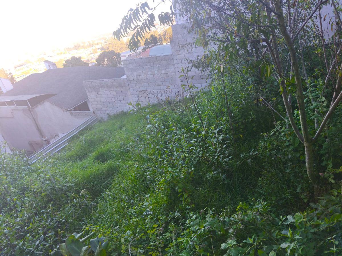 Vendo Terreno en Urbanización Privada Av Galo Plaza Entre Intercambiador de Carcelen y El Portal — imagen 2