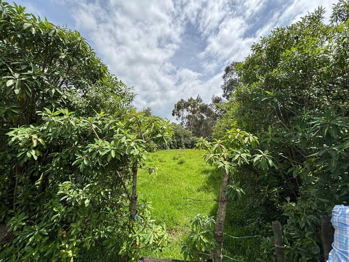 Terreno de 771 m² en Venta - Machachi — imagen 7