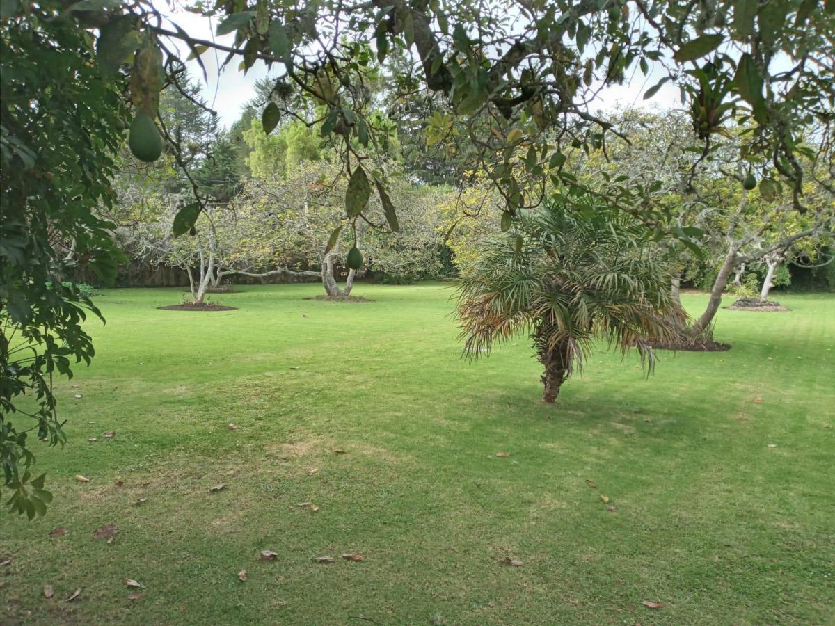 Terreno en Puembo — imagen 4
