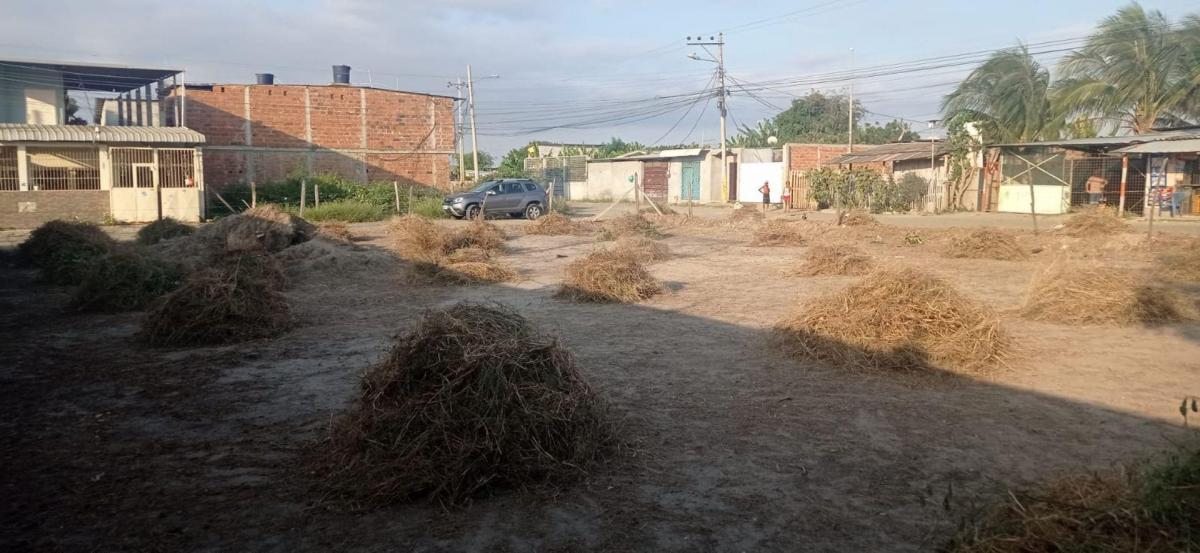 Terreno de Venta en Manta Zona Norte, Manabí — imagen 8