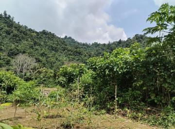 Venta - Hectarea - Esmeraldas - Ruta del Spondylus - Lotes - Norte — imagen 10