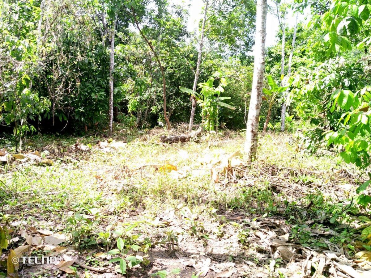 Venta - Hectarea - Esmeraldas - Ruta del Spondylus - Lotes - Norte — imagen 9