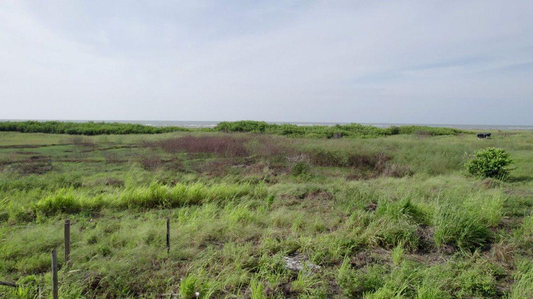 Venta - Hectarea - Esmeraldas - Ruta del Spondylus - Lotes - Norte — imagen 7