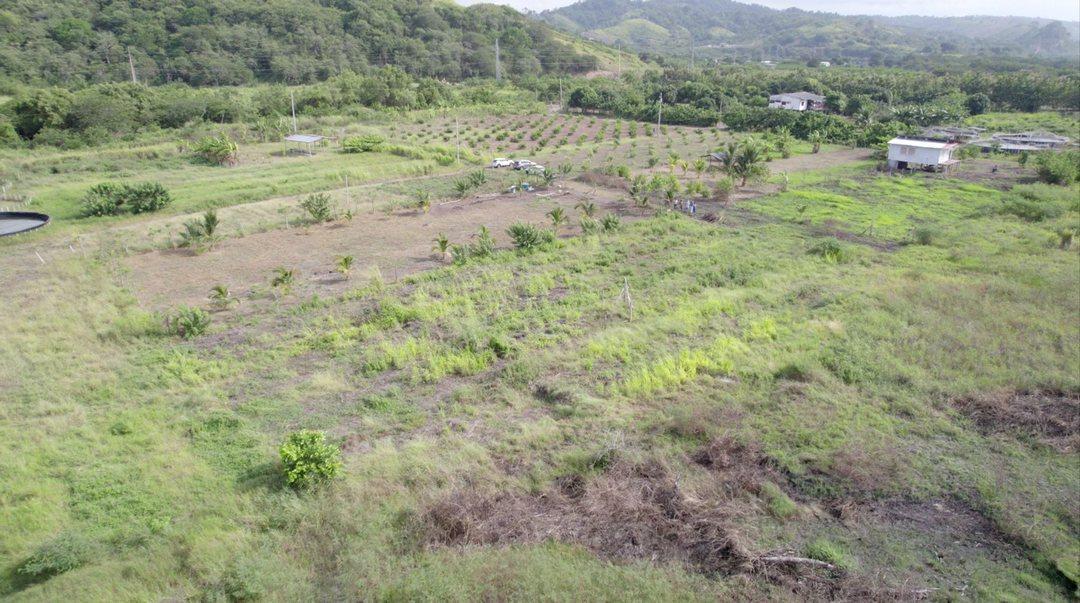Venta - Hectarea - Esmeraldas - Ruta del Spondylus - Lotes - Norte — imagen 6
