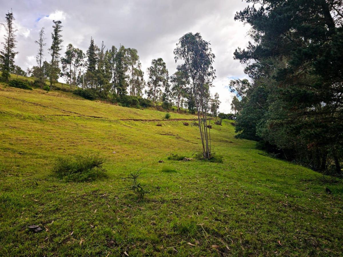 Venta - Lotes - Terreno - Quito - Quinche - Barrio La Esperanza — imagen 9