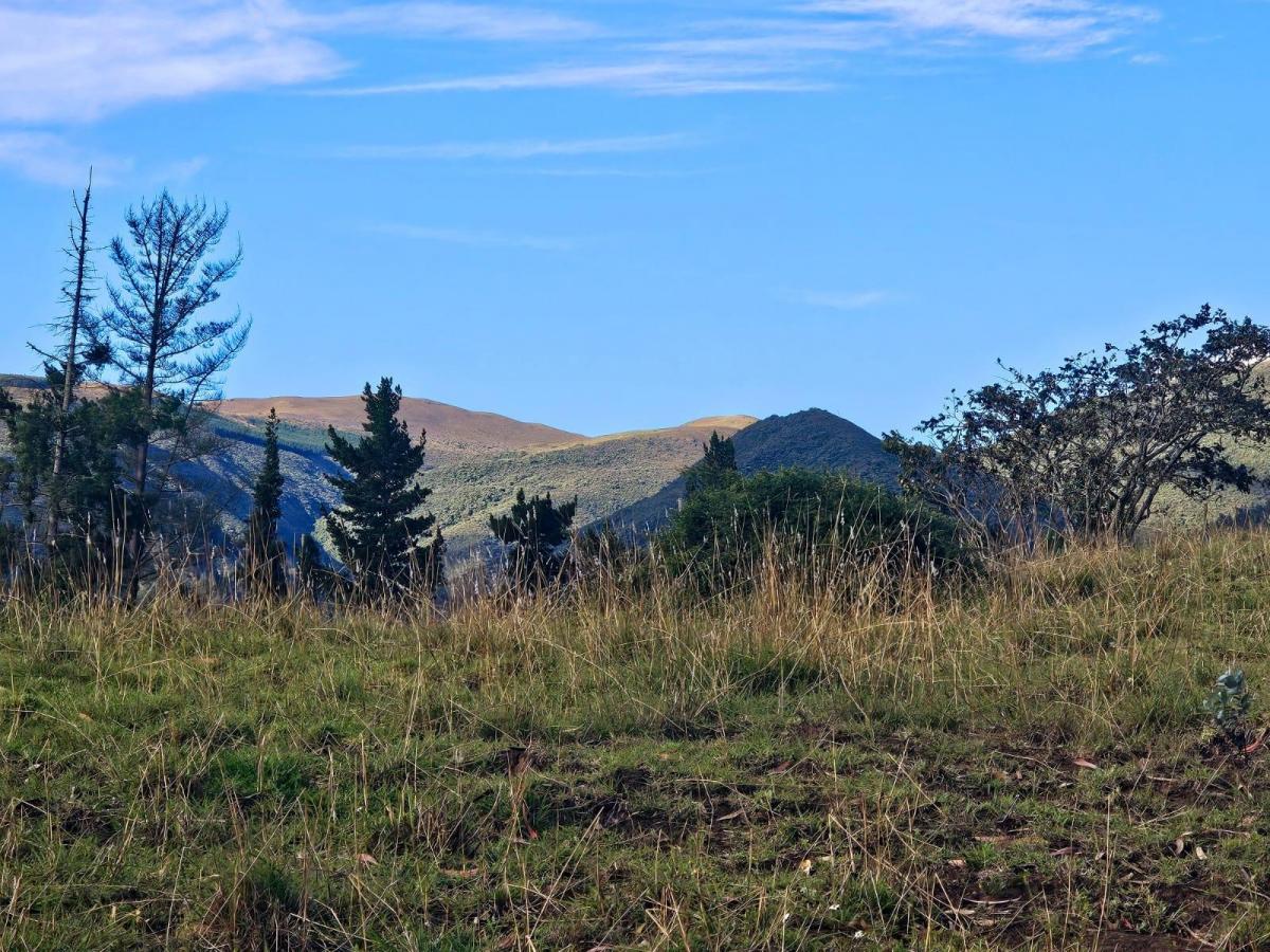 Venta - Lotes - Terreno - Quito - Quinche - Barrio La Esperanza — imagen 7