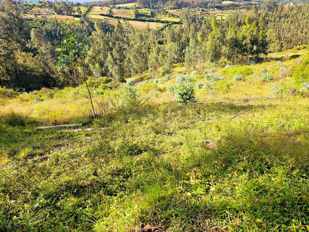 Venta - Lotes - Terreno - Quito - Quinche - Barrio La Esperanza — imagen 6